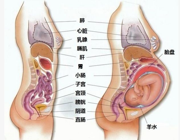 第1238页