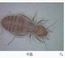 游戏专题 第210页