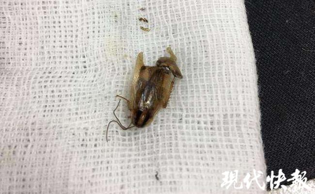 第1324页
