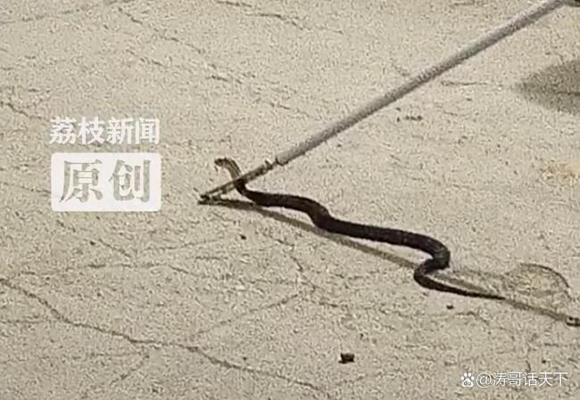 热点生活 第217页