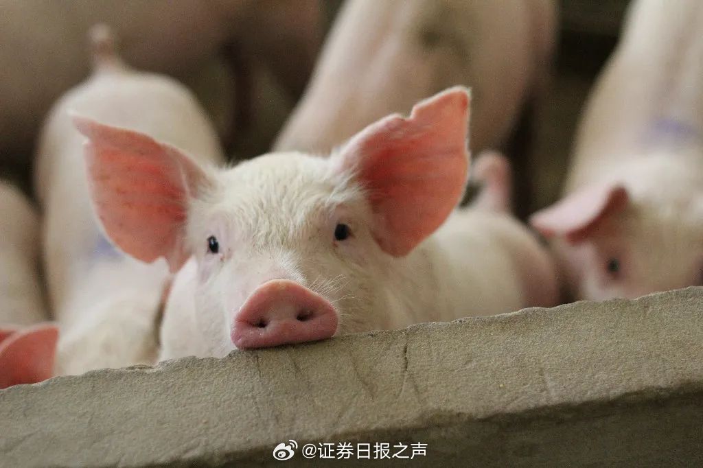 娱乐生活 第204页