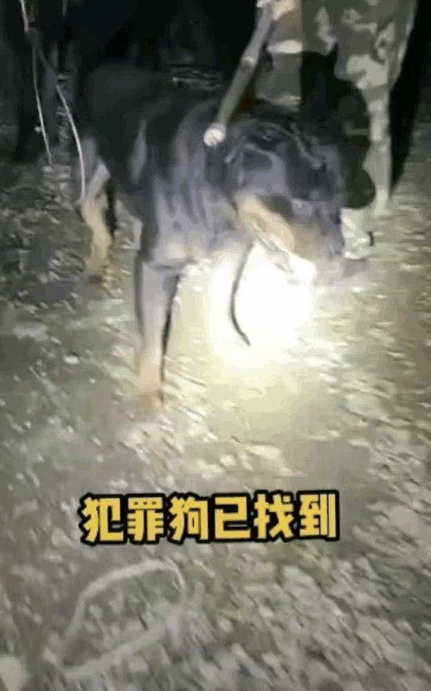 第1287页