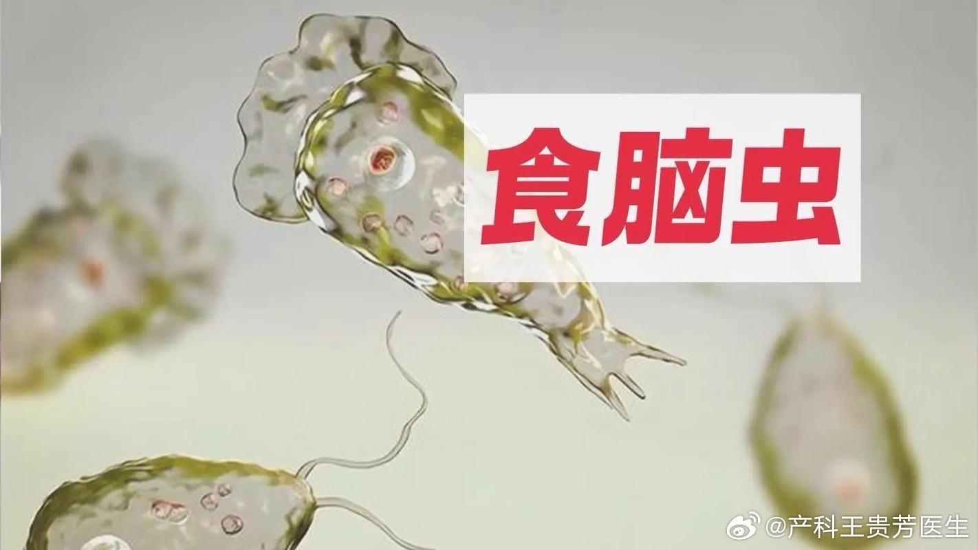 港澳新闻 第155页