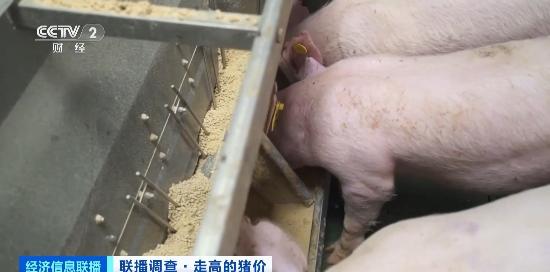 游戏专题 第164页