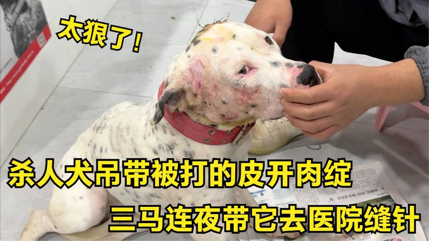 地方新闻 第152页