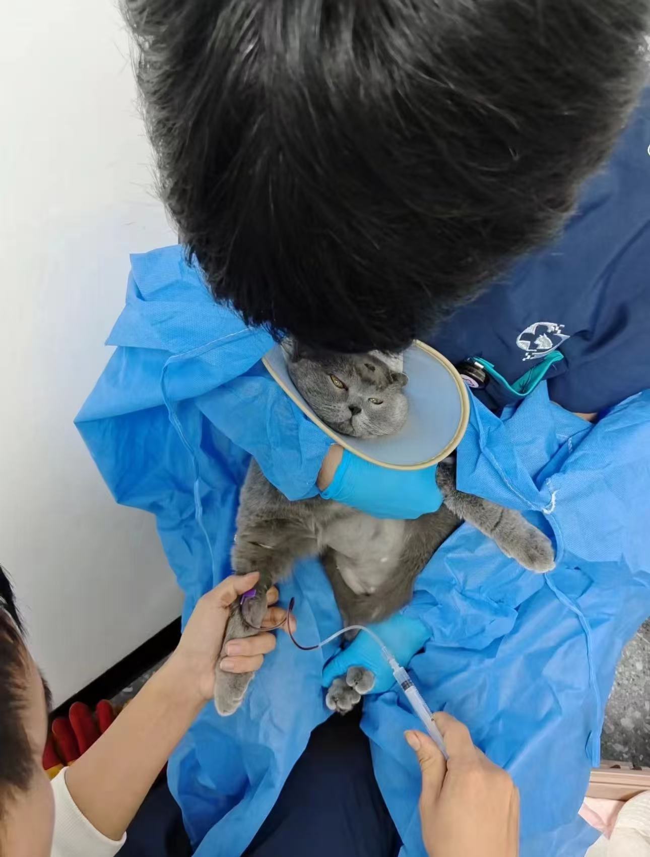 港澳新闻 第148页
