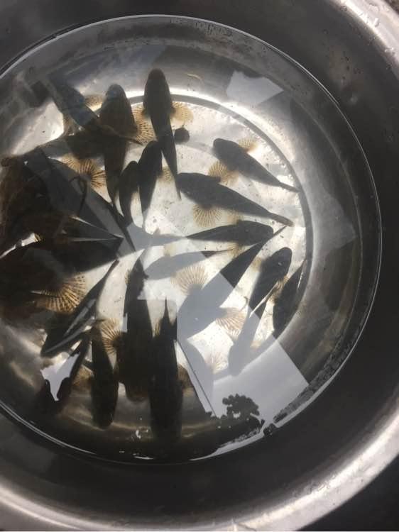 热点生活 第141页