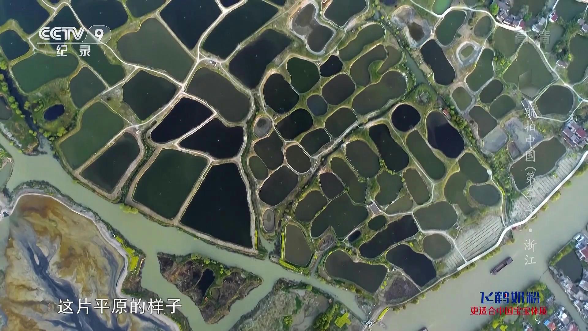 娱乐生活 第90页