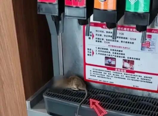 港澳新闻 第9页