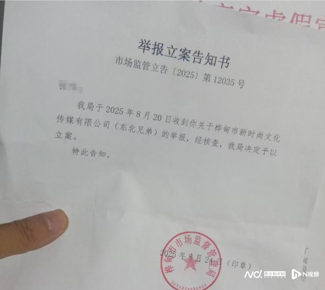 知名网红\"东北兄弟\"被立案调查知名网红东北兄弟被立案调查事件深度解析