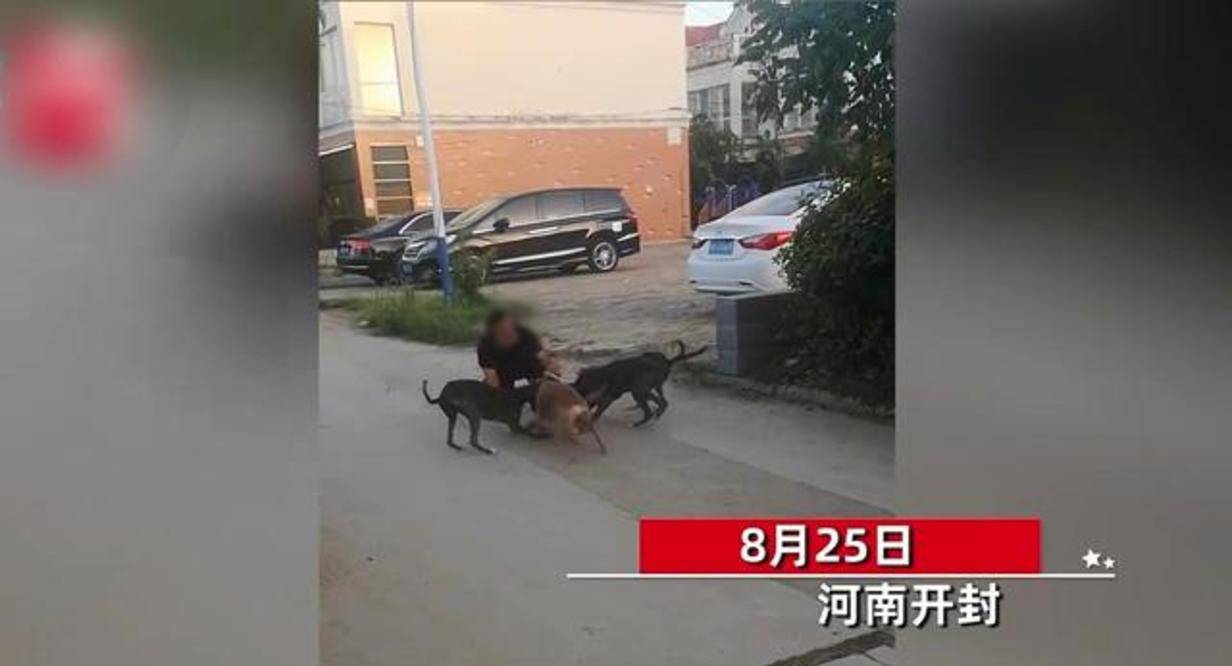 遭体罚死前求助被拦遭体罚致死前的绝望求助，反思与警示