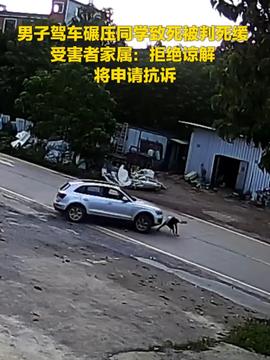 驾车碾死同学判死缓驾车碾死同学判死缓，一起悲剧引发的深度思考